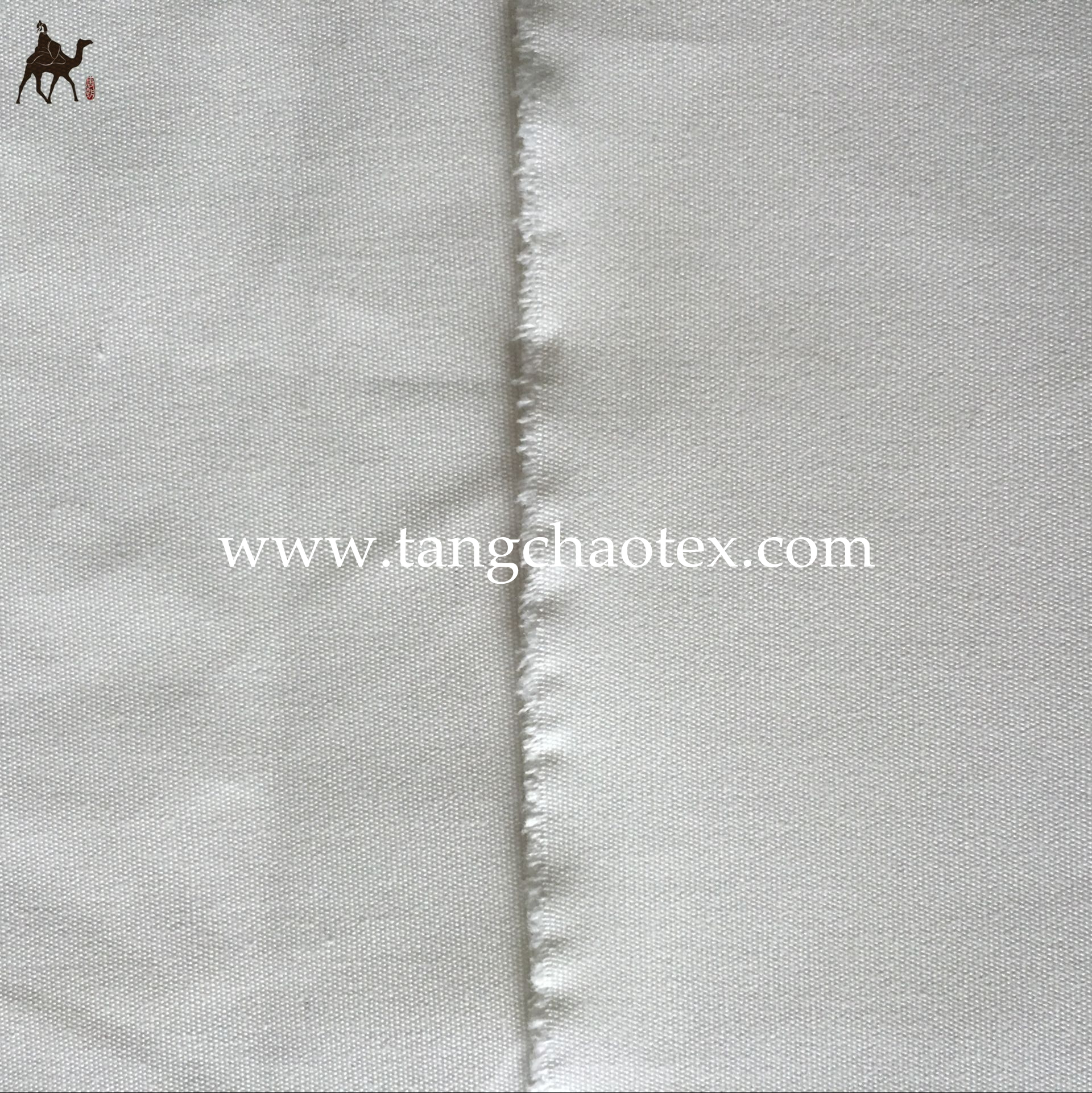 canvas fabric